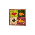 Square Kisses // Wall Garden