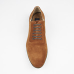 Suede Plain Toe Lace Up // Tabaco (US: 9)