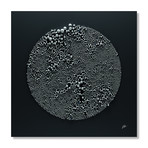 Spheres In Circle // Dark (Stretched Canvas // 16"W x 16"H x 1.5"D)