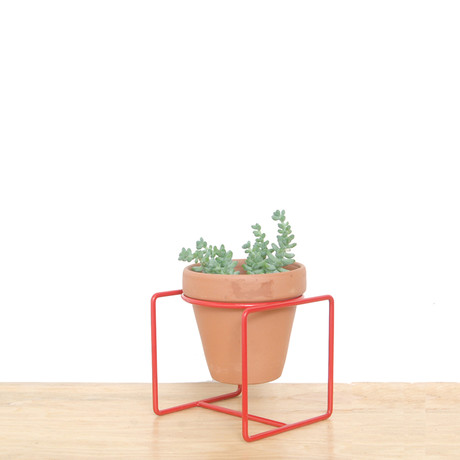 Desk Planter // Red // Medium