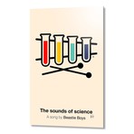 The Sounds of Science (24"H x 16"W x 1.5"D)