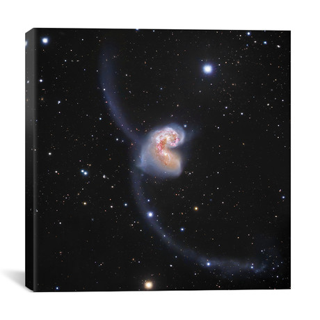 Interacting Galaxies In Corvus II (NGC 4038) (18"W x 18"H x 0.75"D)