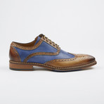Dress Shoe // Brown + Cobalt Blue (Euro: 40)