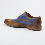 Dress Shoe // Brown + Cobalt Blue (Euro: 40)