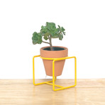 Desk Planter // Yellow // Extra Small