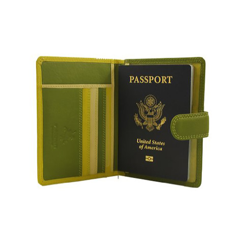 Multi Colored Passport Wallrt // Green