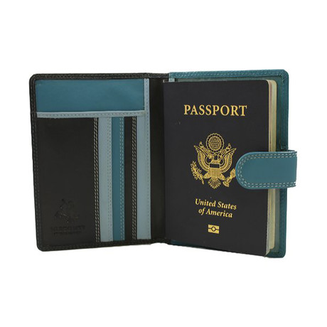 Multi Colored Passport Wallet // Blue