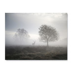 Mysterious Beauty (30"W x 24"H x 1.5"D)