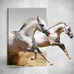 White Horses // Mostic 3D Wrapped Canvas + Decal