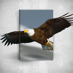 Eagle // Mostic 3D Wrapped Canvas + Decal