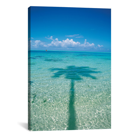 Palm Tree Shadow In The Ocean, French Polynesia // Douglas Peebles (26"W x 18"H x 0.75"D)