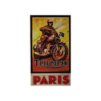 Triumph (12"W x 16"H x 0.5"D)