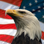 Eagle // Collector's Edition Vintage Knife