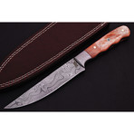 Damascus Fillet Knife // 9046