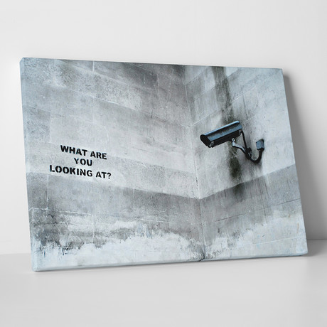 What Are You Looking At? // Gallery Wrapped Canvas (20"W x 30"H x 0.8"D)