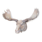 Moose Head Wall Art