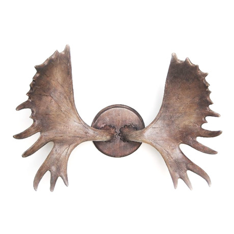 Contemporary Moose Antlers Wall Hanger Wall Art
