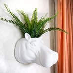 2 in 1 Hanging Plant Pot // Hippo