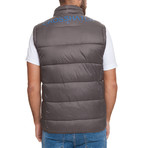 Awesleeve Vest // Magnet (XL)