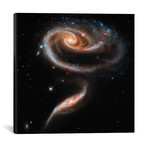 A 'Rose' Made of Galaxies Highlights Hubble's 21st Anniversary (18"W x 18"H x 0.75"D)