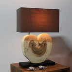 Nature's Own Lamp Medium