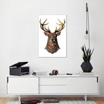 Ornate Buck In Color II by Bioworkz (18"W x 26"H x 0.75"D)