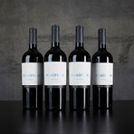 90 Point Mariflor Malbec from Argentina // 4 Bottles