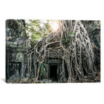 Temple In The Jungle, Angkor Wat, Cambodia (26"W x 18"H x 0.75"D)