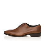 Oxford Lace-Up Classic Shoe // Brown (Euro: 43)