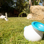 iFetch Interactive Dog Fetch Toy // Small Dogs