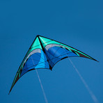 Quantum + Kite Stake