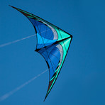 Quantum + Kite Stake