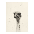 Watercolor Ostrich II