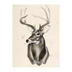 Watercolor Deer Head III