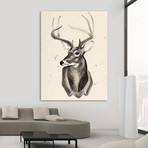 Watercolor Deer Head III