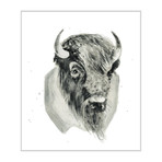 Bison Bust