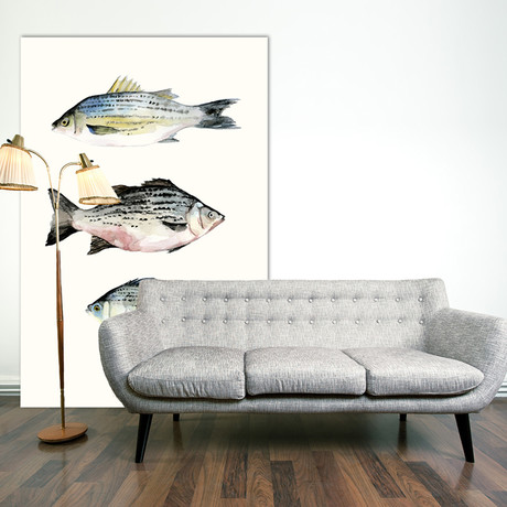 Fish Grouping II