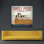 Three Pugs In A Canoe