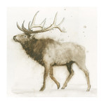 Elk II (54"W x 54"H x 1.25"D)