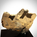 Meteorite Authentic Campo Del Cielo Stone // Museum Display