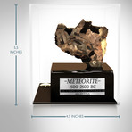 Meteorite Authentic Campo Del Cielo Stone // Museum Display
