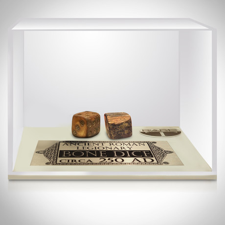 Roman Authentic Bone Dice // Museum Display