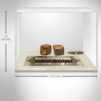 Roman Authentic Bone Dice // Museum Display