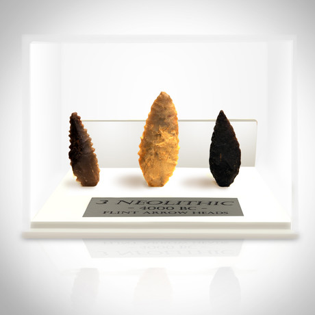 Neolithic Authentic Arrowheads // Set of 3 // Museum Display