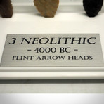 Neolithic Authentic Arrowheads // Set of 3 // Museum Display