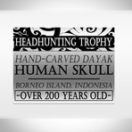 Human Authentic Skull Headhunting Trophy // Museum Display