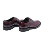 Alfonsi Plain Toe Brogue Oxford // Burgundy Brown (Euro: 39)