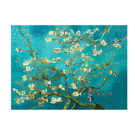 Almond Blossoms // Vincent Van Gogh // 1890