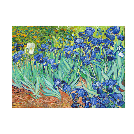 Irises // Vincent Van Gogh // 1889