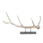 Large Elk Antler Centerpiece (Natural)